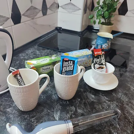 Pina Lägenhet Vrnjačka Banja